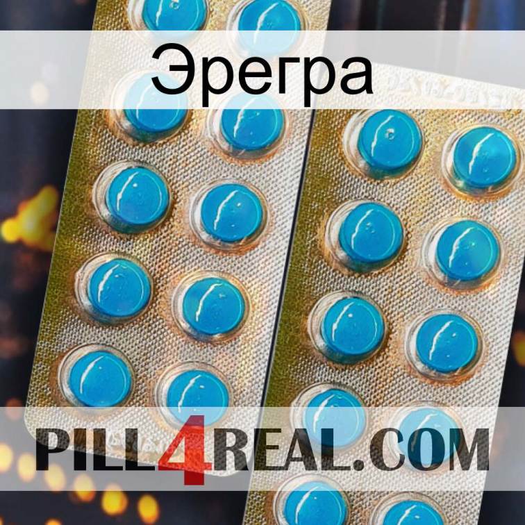 Эрегра new08